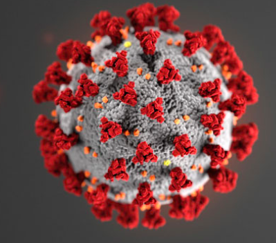coronavirus